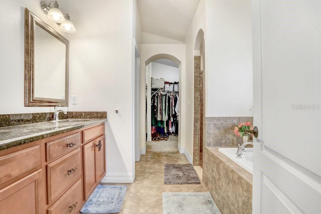 15723 STARLING WATER DR, LITHIA, FL, 33547