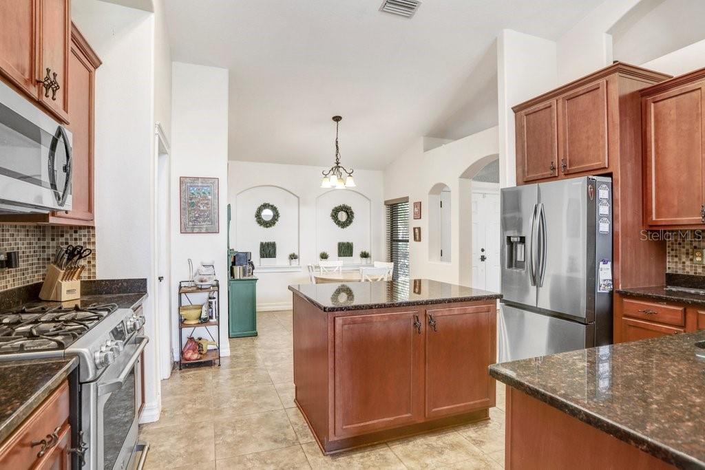 15723 STARLING WATER DR, LITHIA, FL, 33547