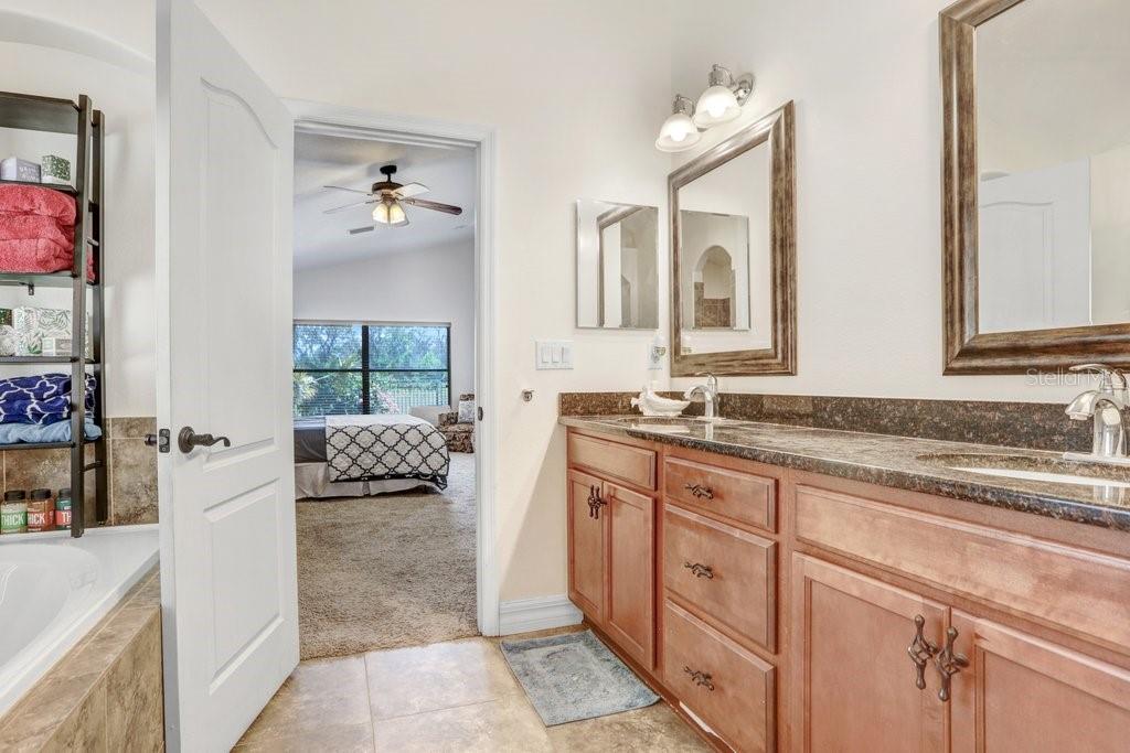 15723 STARLING WATER DR, LITHIA, FL, 33547