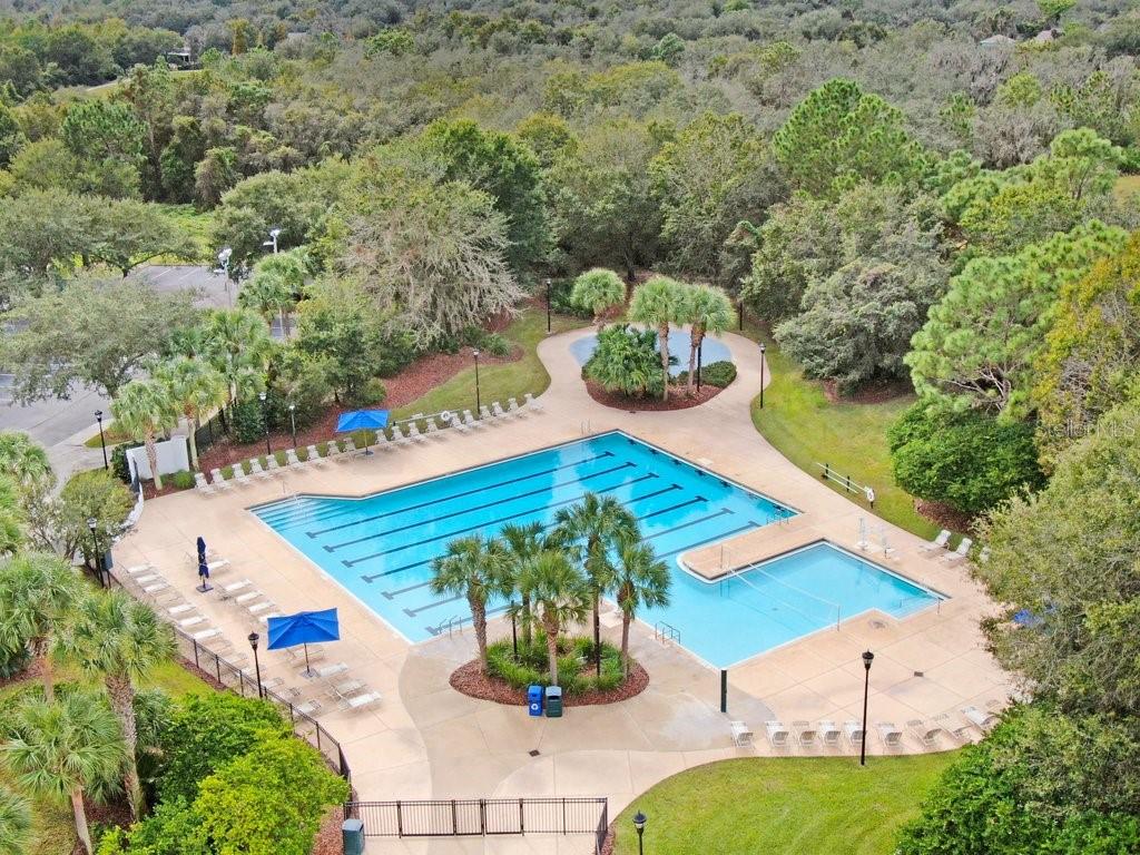 15723 STARLING WATER DR, LITHIA, FL, 33547