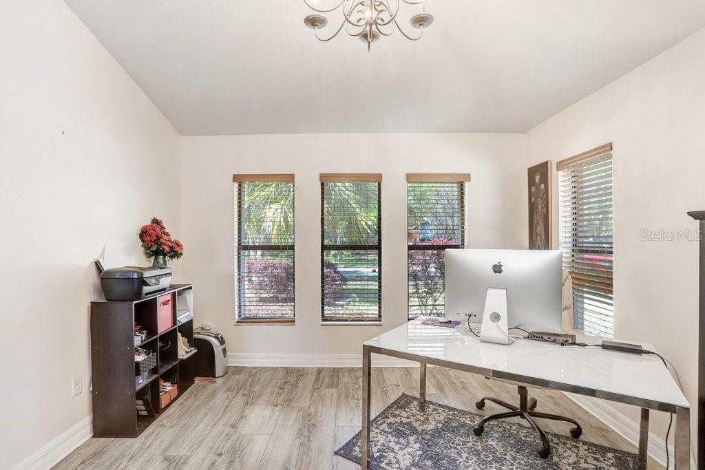 15723 STARLING WATER DR, LITHIA, FL, 33547