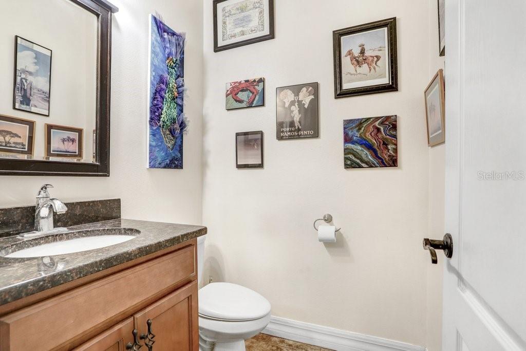 15723 STARLING WATER DR, LITHIA, FL, 33547