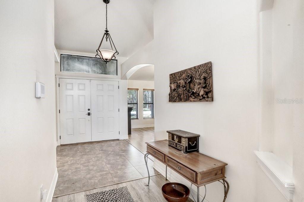 15723 STARLING WATER DR, LITHIA, FL, 33547