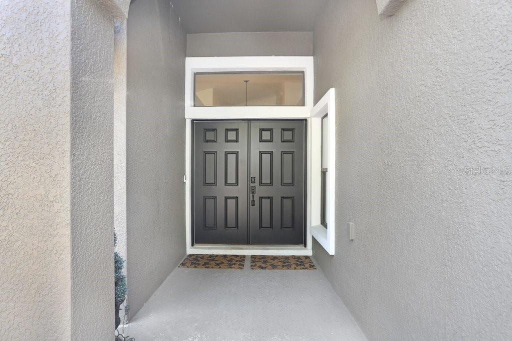 15723 STARLING WATER DR, LITHIA, FL, 33547