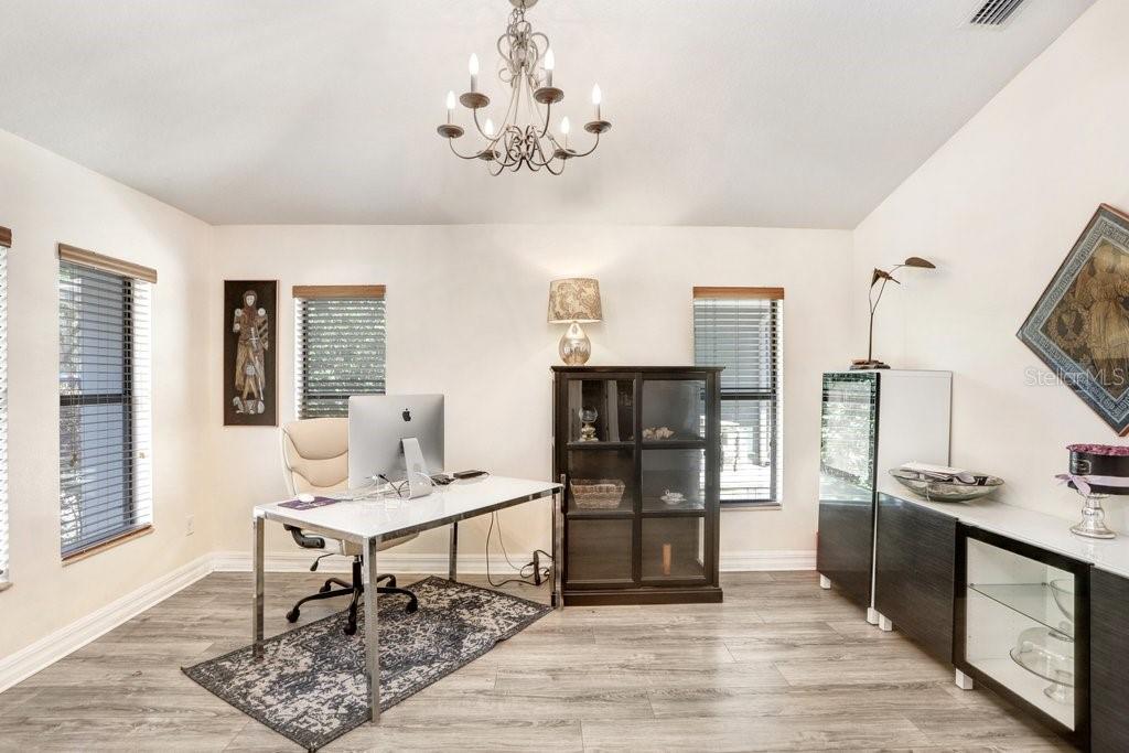 15723 STARLING WATER DR, LITHIA, FL, 33547