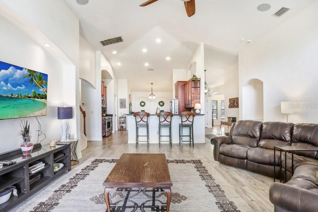 15723 STARLING WATER DR, LITHIA, FL, 33547