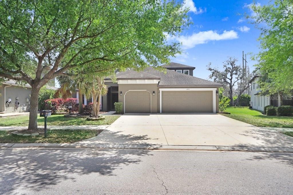 15723 STARLING WATER DR, LITHIA, FL, 33547