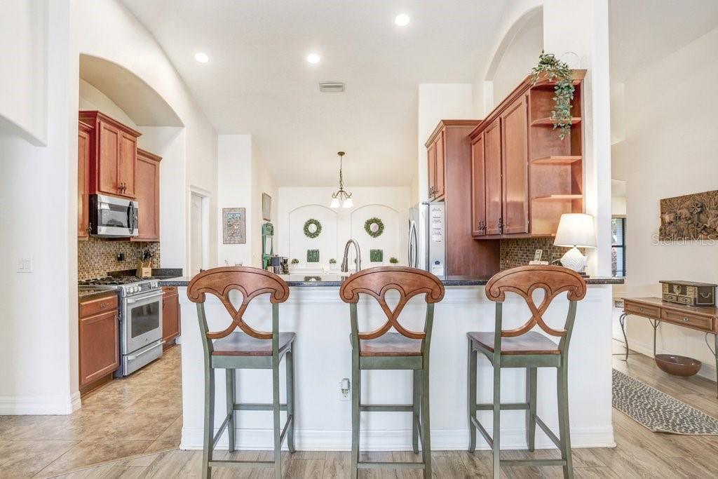 15723 STARLING WATER DR, LITHIA, FL, 33547