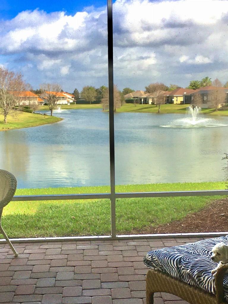 10019 REGATTA BLVD, OXFORD, FL, 34484