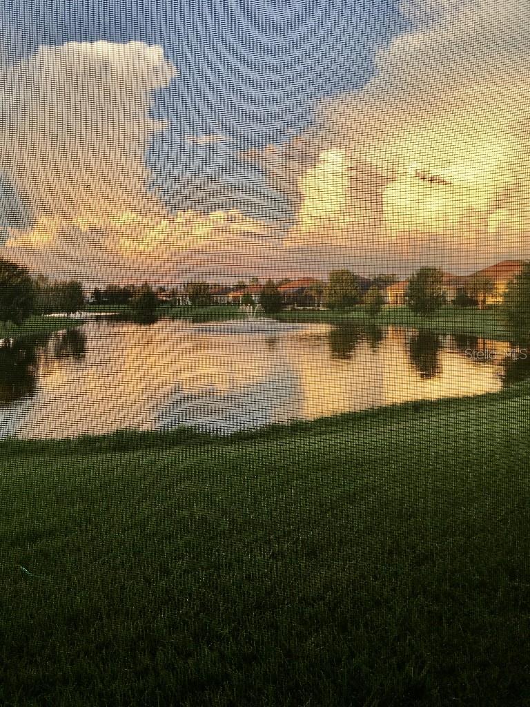 10019 REGATTA BLVD, OXFORD, FL, 34484