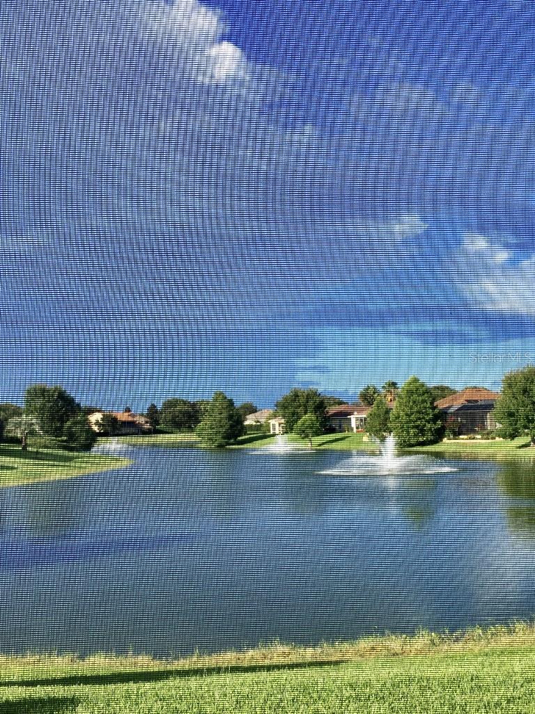 10019 REGATTA BLVD, OXFORD, FL, 34484