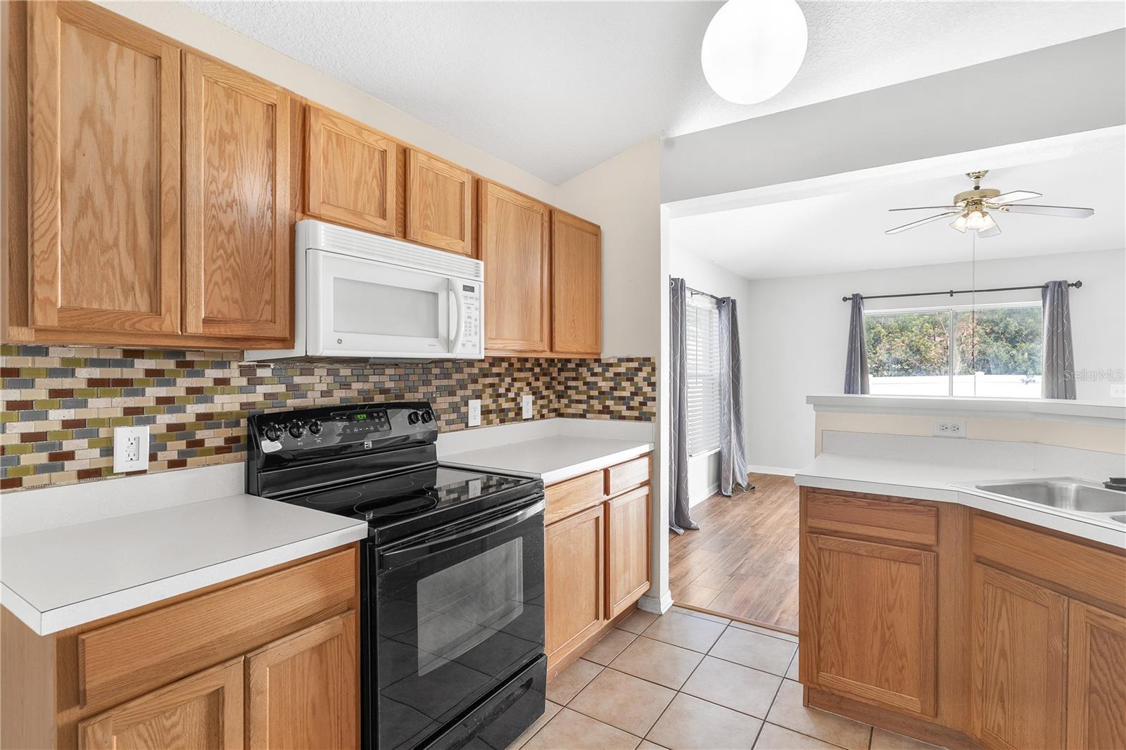 2210 AITKIN LOOP, LEESBURG, FL, 34748