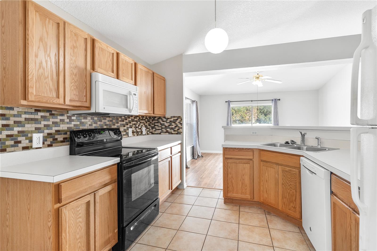 2210 AITKIN LOOP, LEESBURG, FL, 34748