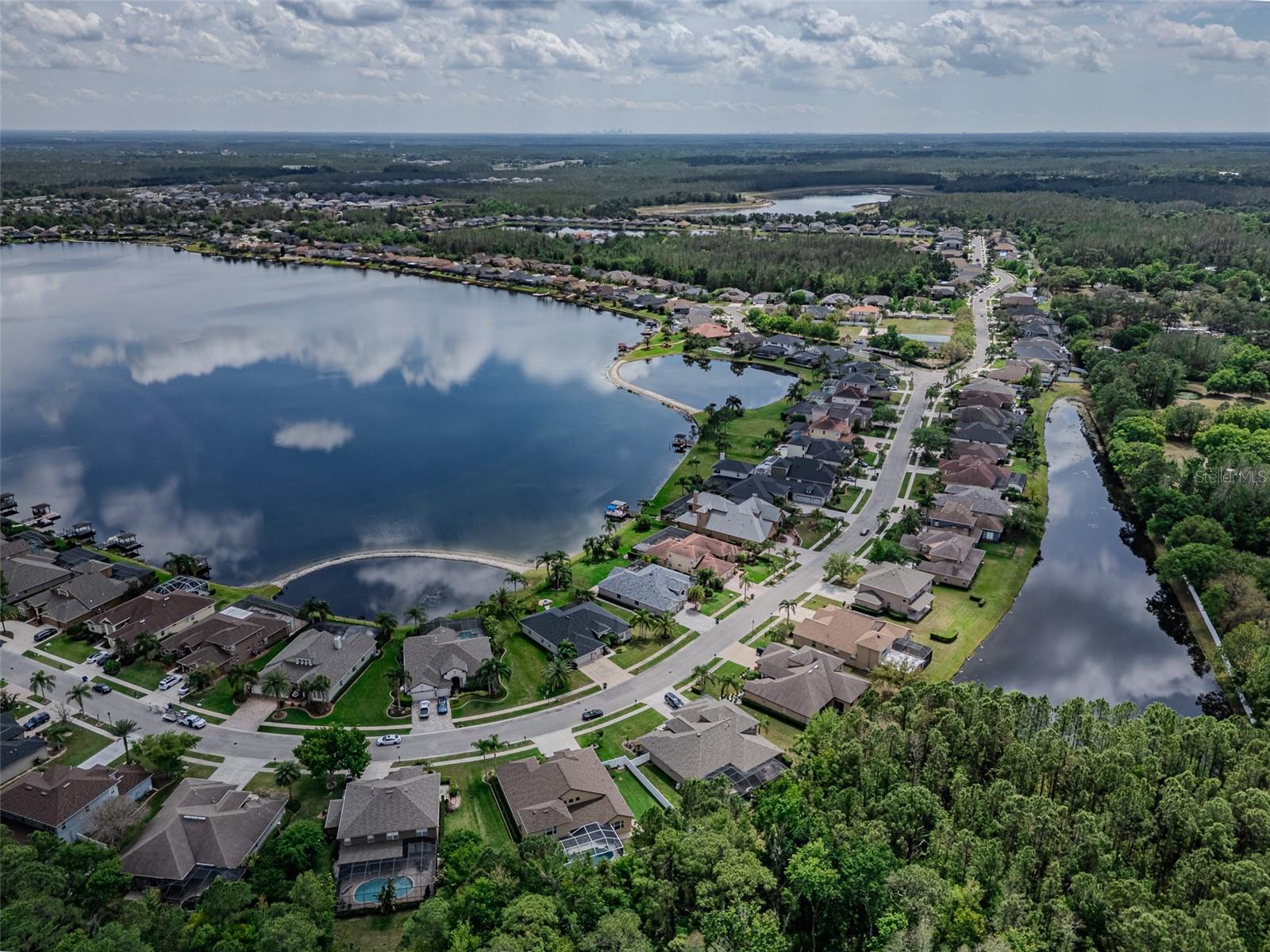 16200 IVY LAKE DR, ODESSA, FL, 33556