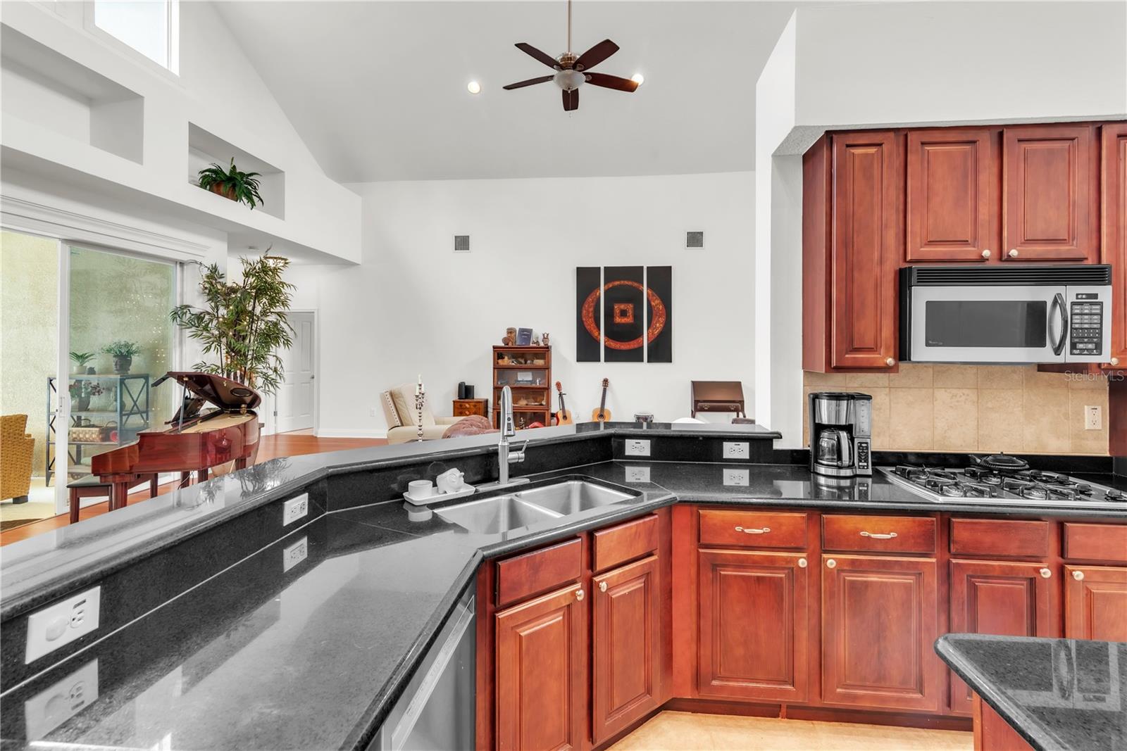 16200 IVY LAKE DR, ODESSA, FL, 33556