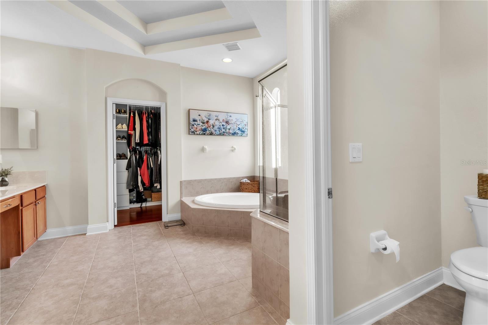 16200 IVY LAKE DR, ODESSA, FL, 33556