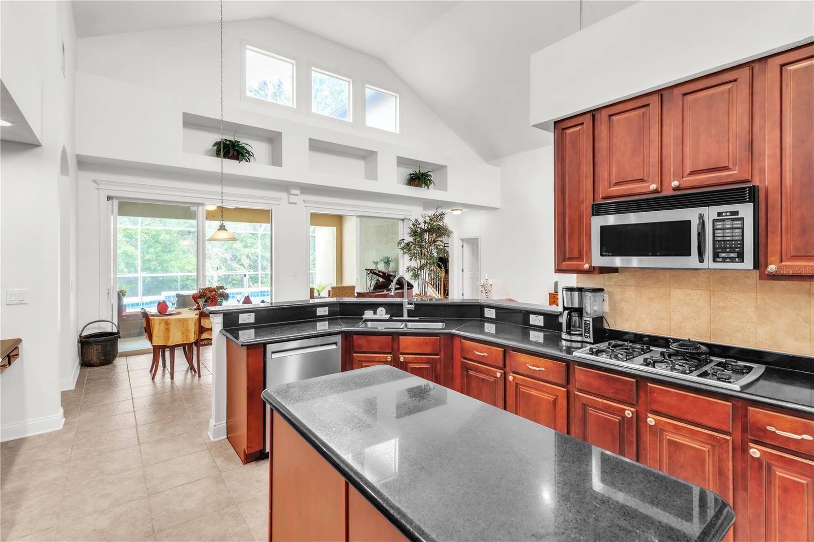 16200 IVY LAKE DR, ODESSA, FL, 33556