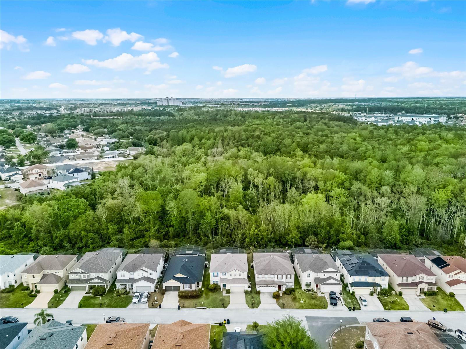 283 WILLOW VIEW DR, DAVENPORT, FL, 33896