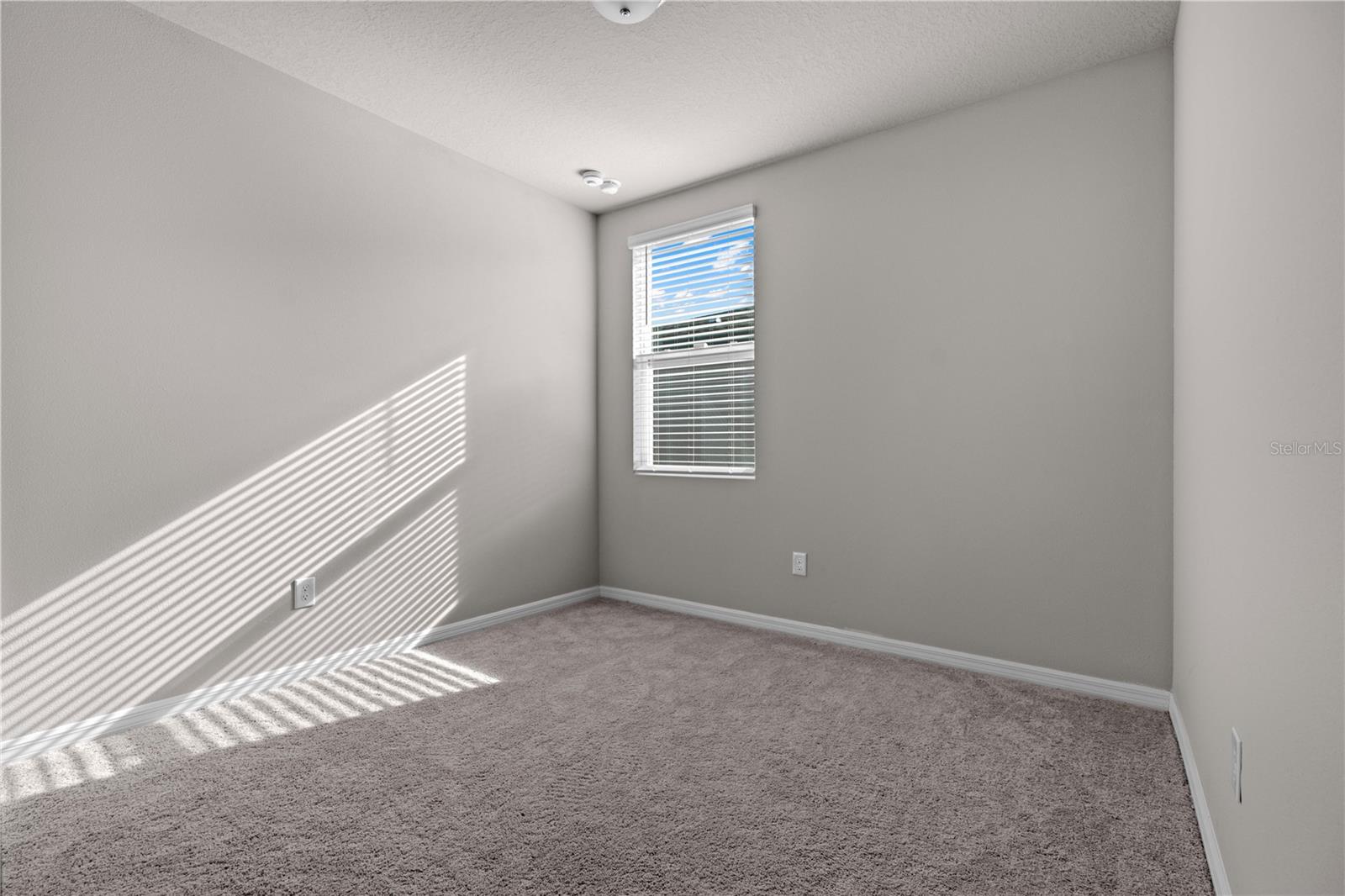 3087 FORREST PLUM CT, ZEPHYRHILLS, FL, 33540