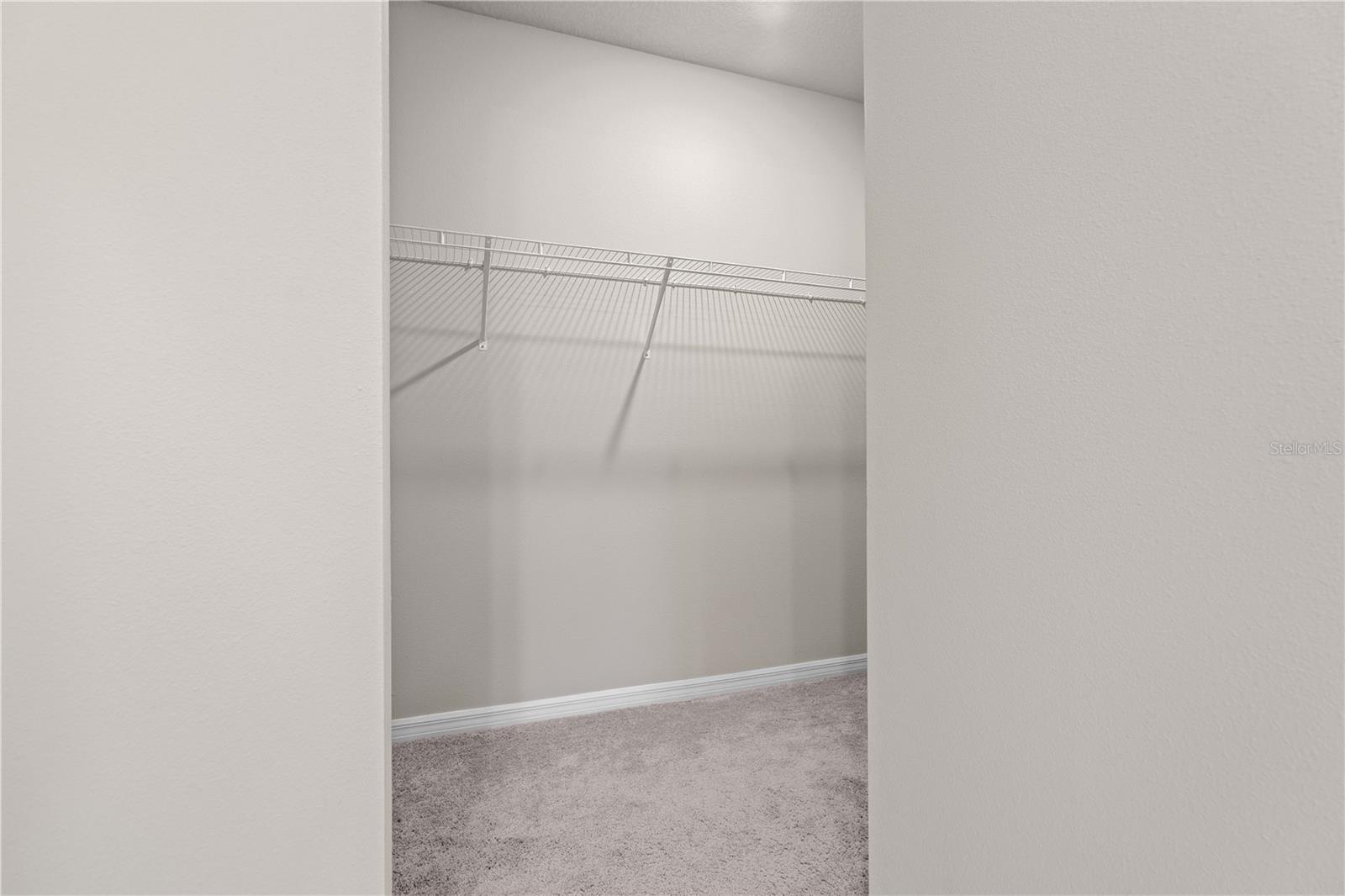 3087 FORREST PLUM CT, ZEPHYRHILLS, FL, 33540