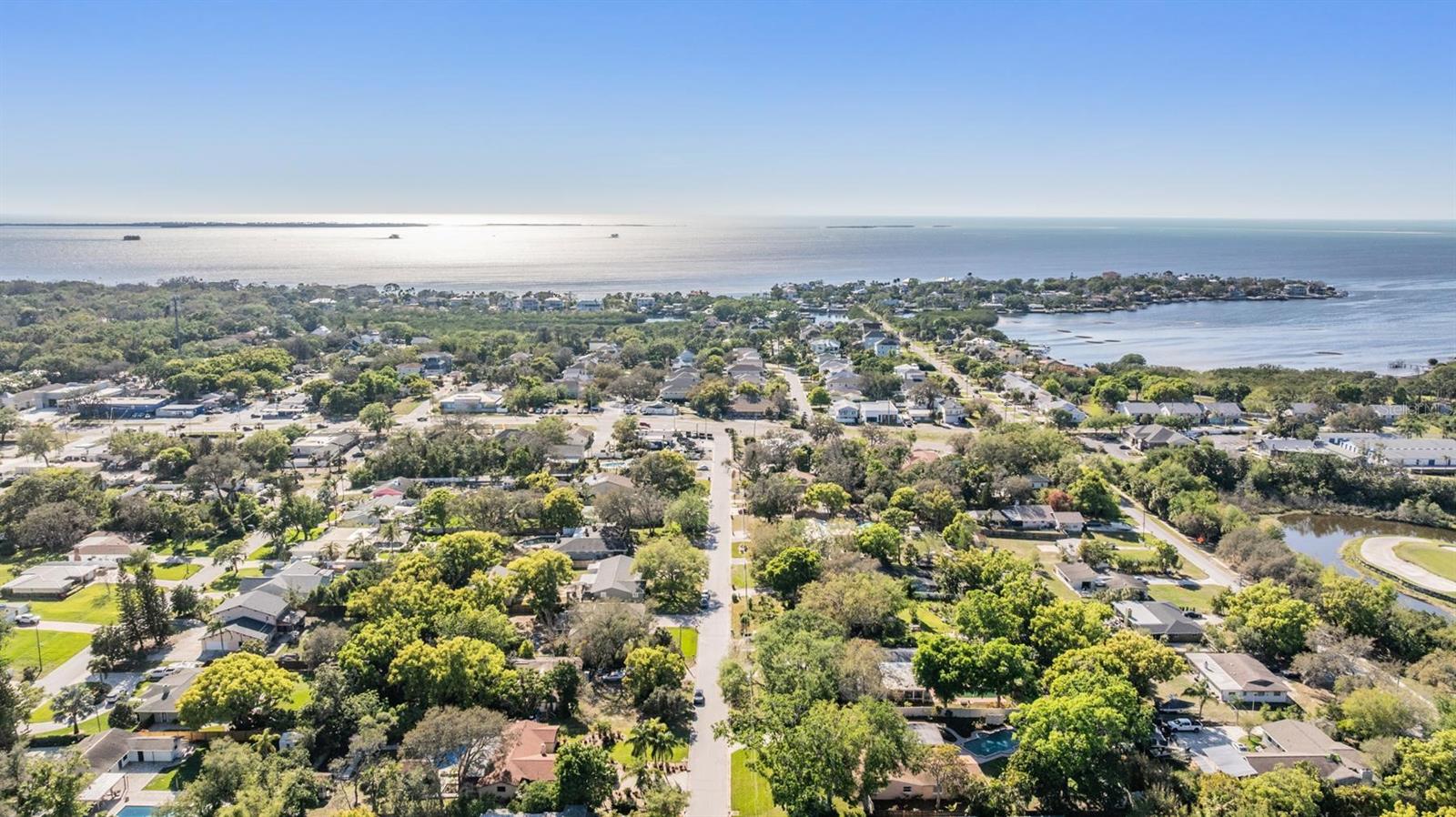 805 SPARROW AVE, PALM HARBOR, FL, 34683