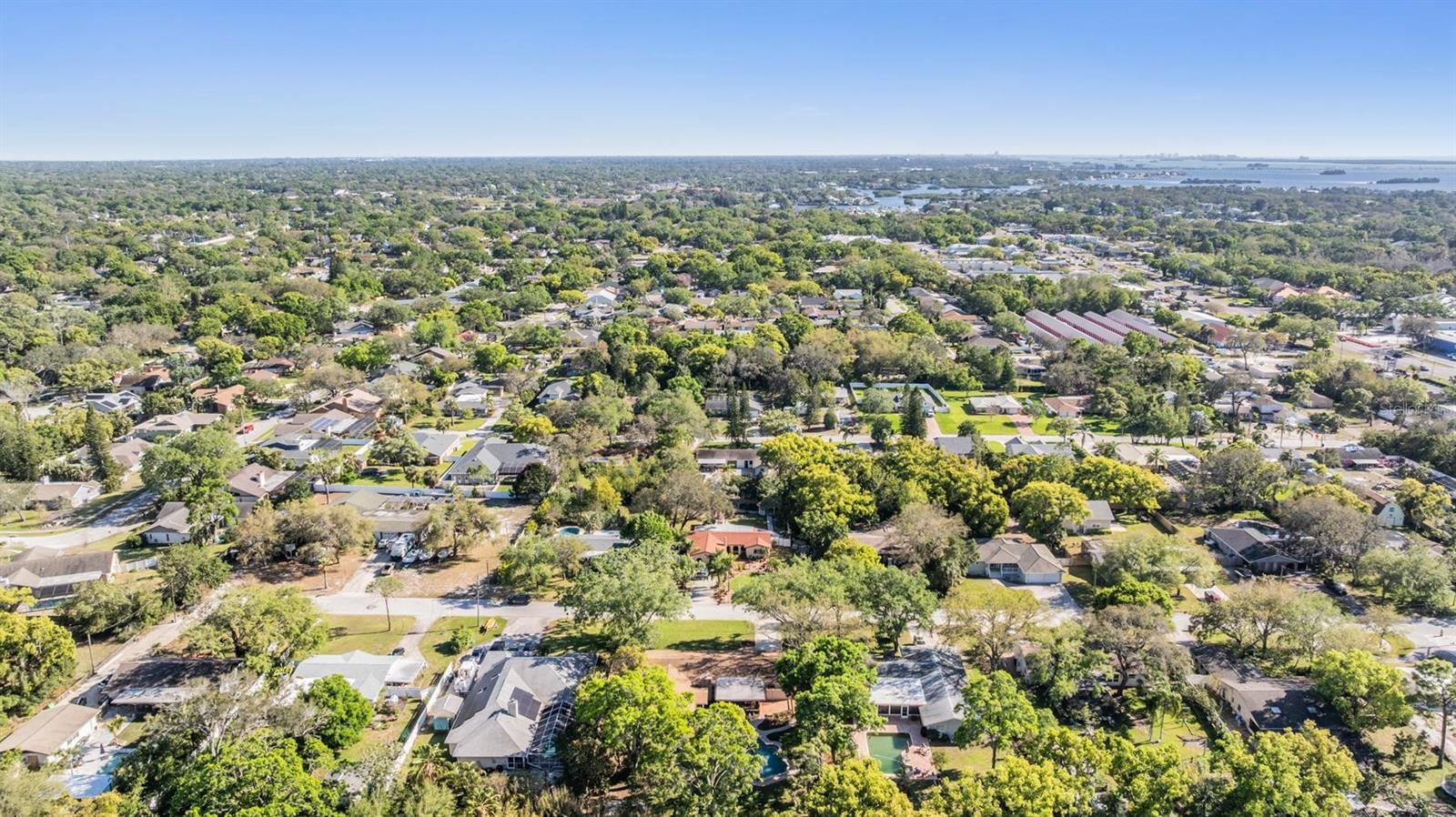 805 SPARROW AVE, PALM HARBOR, FL, 34683