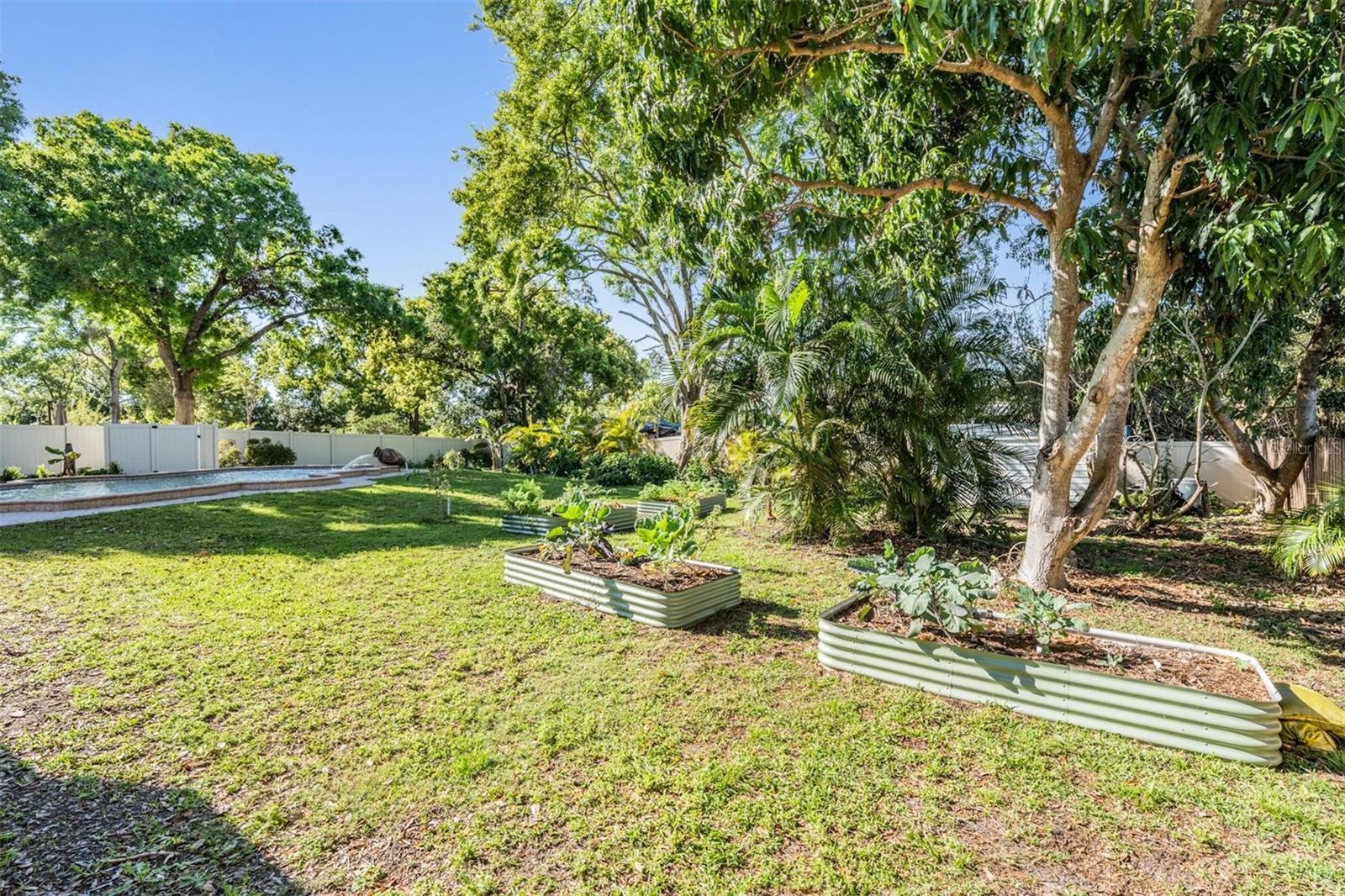 805 SPARROW AVE, PALM HARBOR, FL, 34683