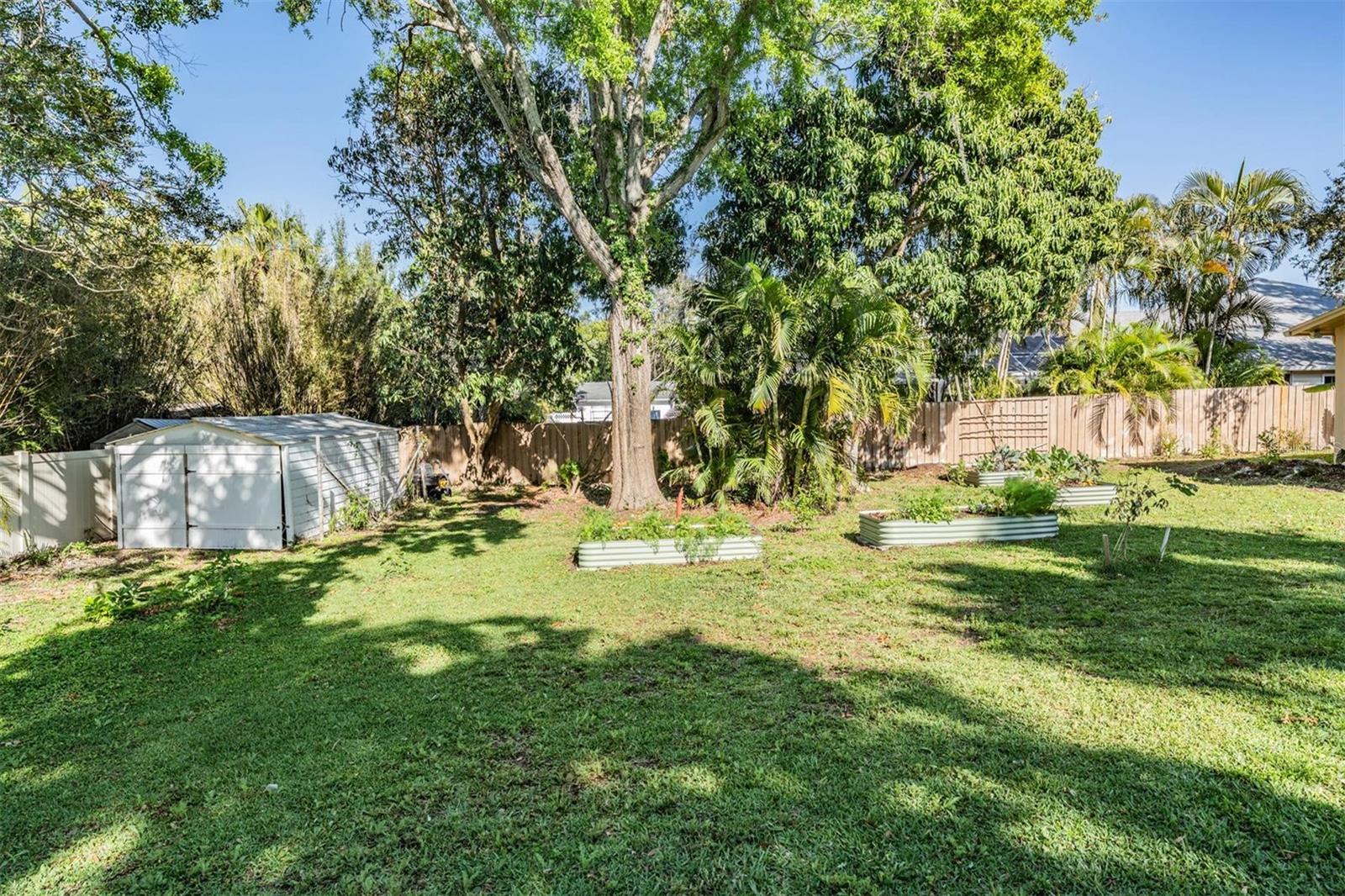 805 SPARROW AVE, PALM HARBOR, FL, 34683