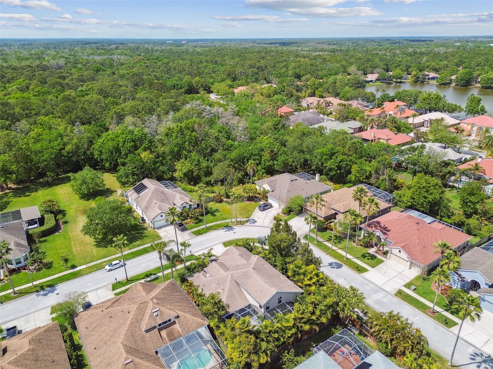 10608 GRETNA GREEN DR, TAMPA, FL, 33626