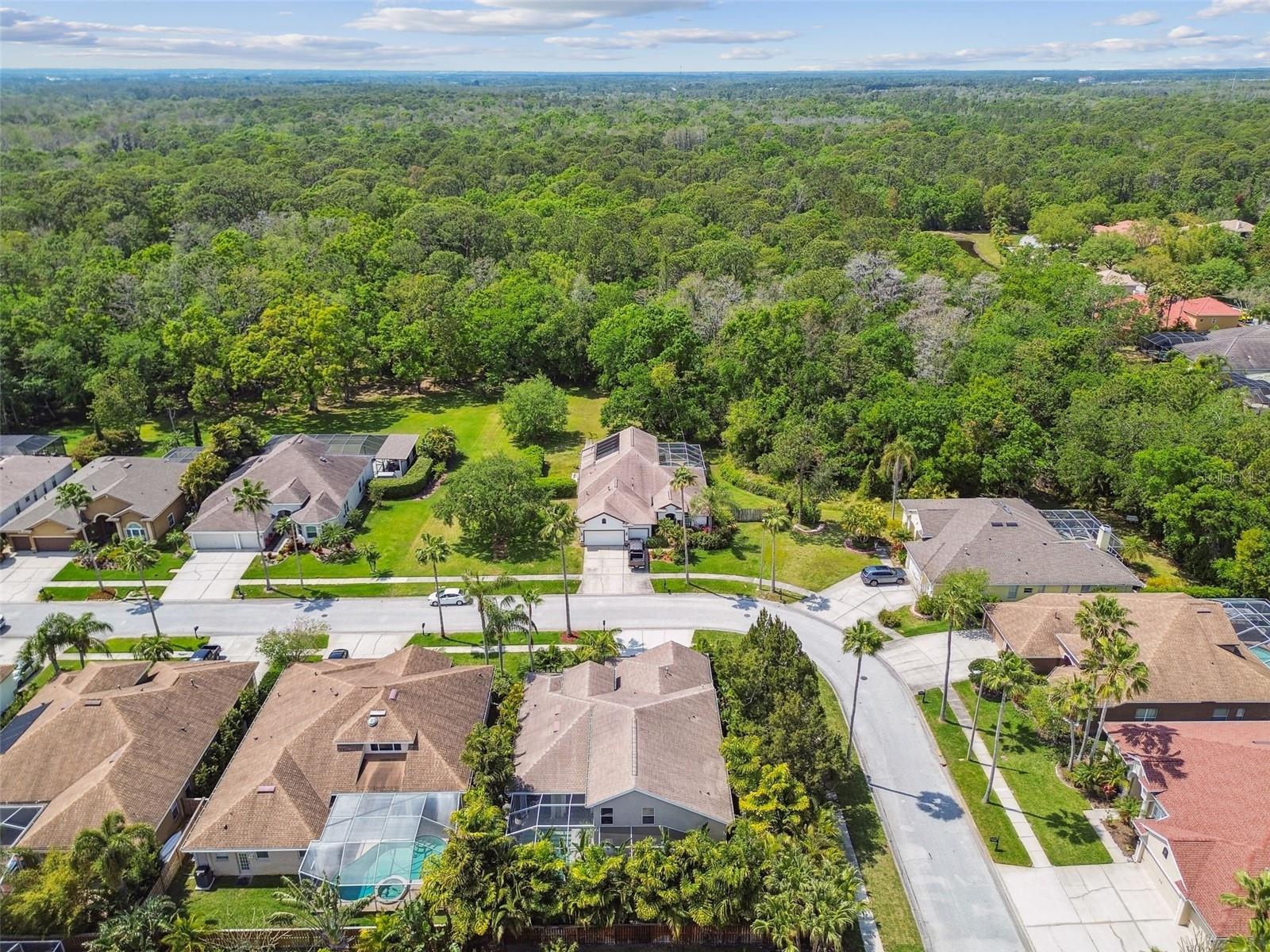 10608 GRETNA GREEN DR, TAMPA, FL, 33626