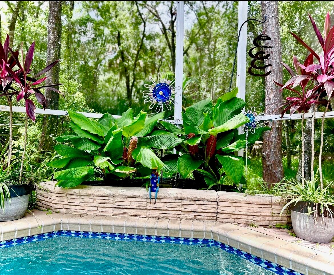 2040 FISHERMENS BND, PALM HARBOR, FL, 34685