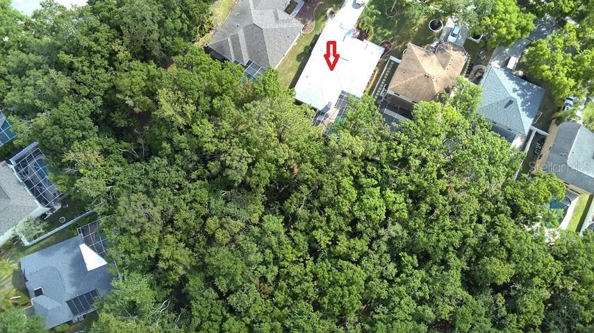 2040 FISHERMENS BND, PALM HARBOR, FL, 34685