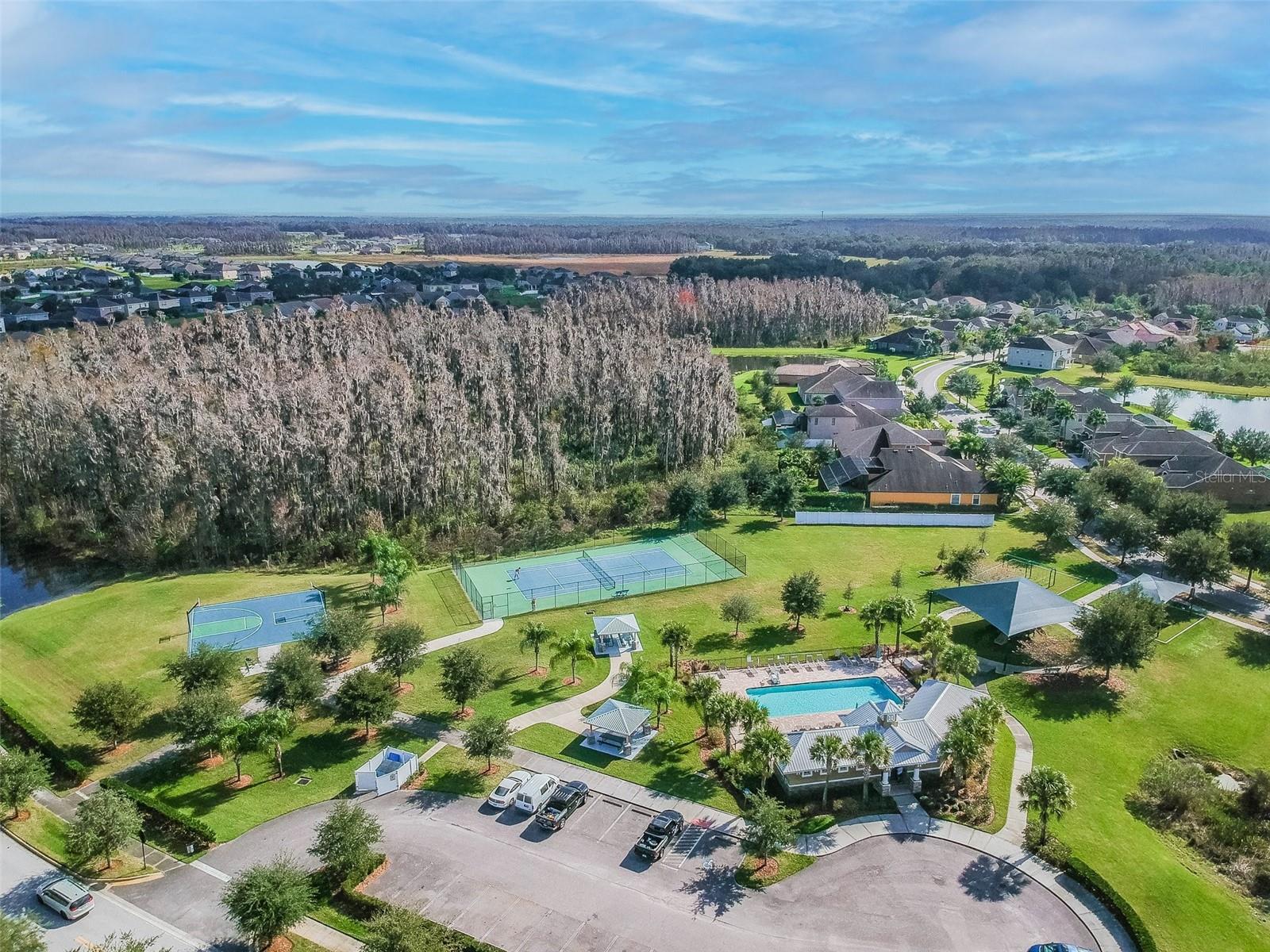 19370 HAWK VALLEY DR, TAMPA, FL, 33647