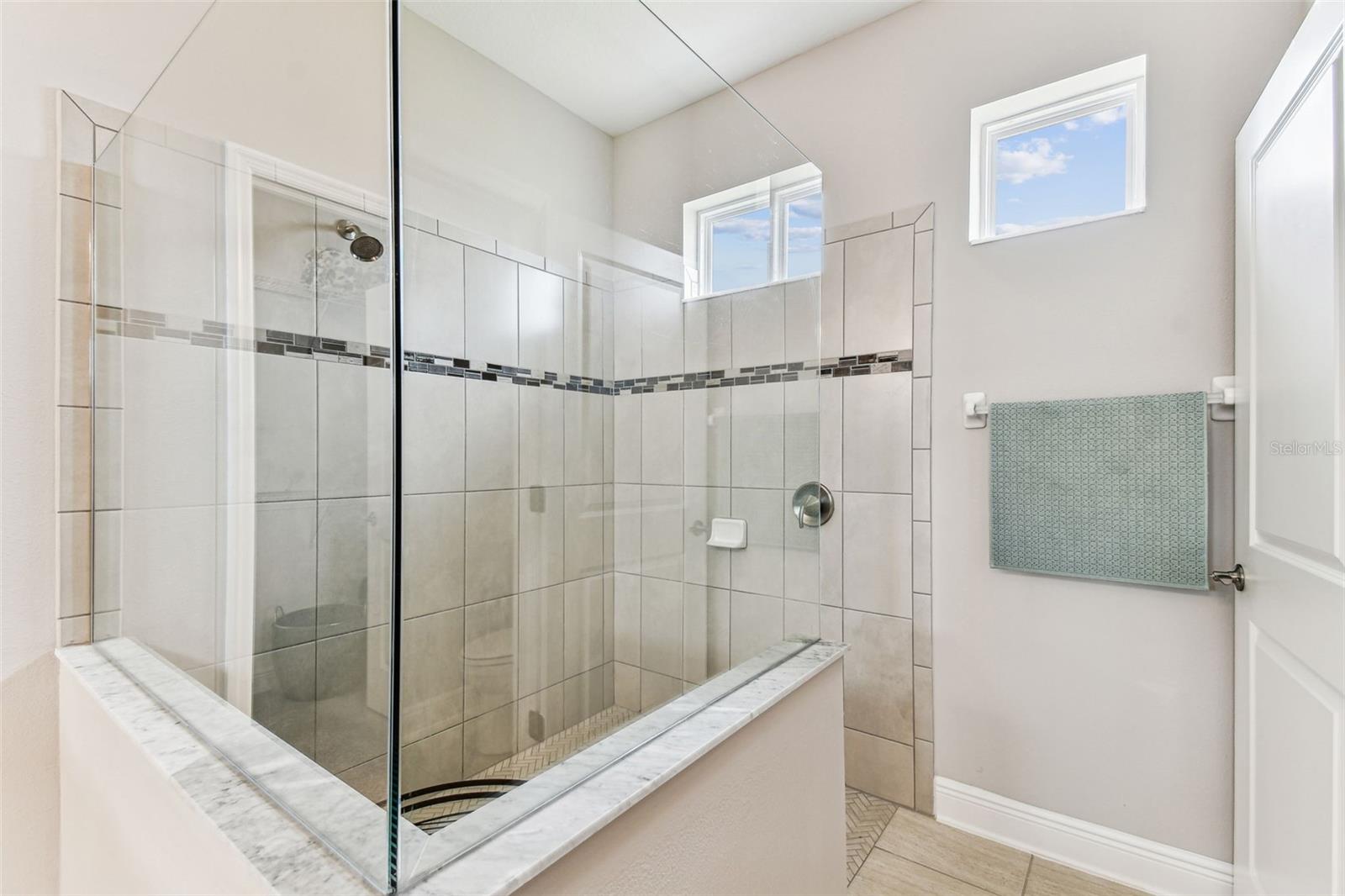 19370 HAWK VALLEY DR, TAMPA, FL, 33647