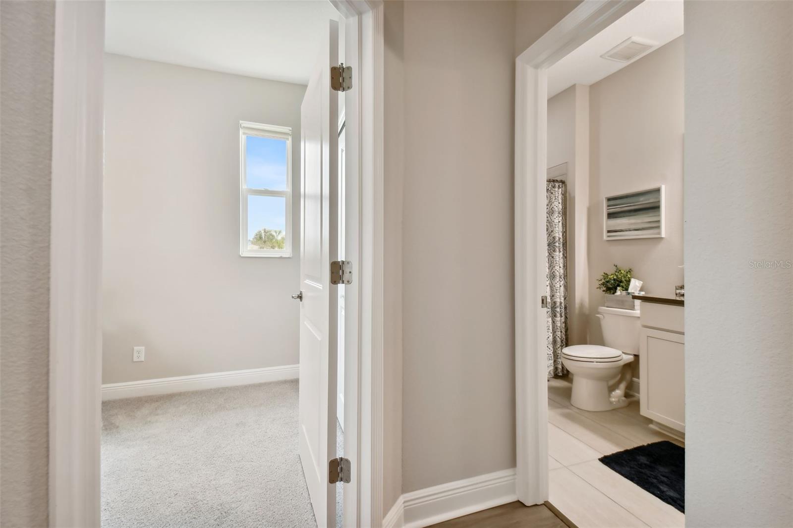 19370 HAWK VALLEY DR, TAMPA, FL, 33647