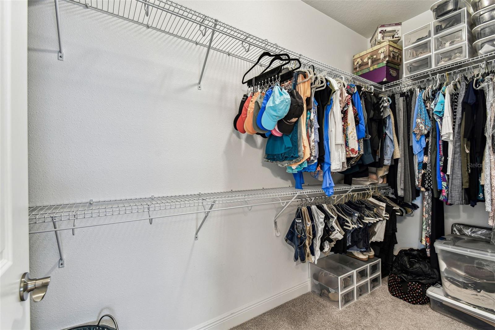 19370 HAWK VALLEY DR, TAMPA, FL, 33647