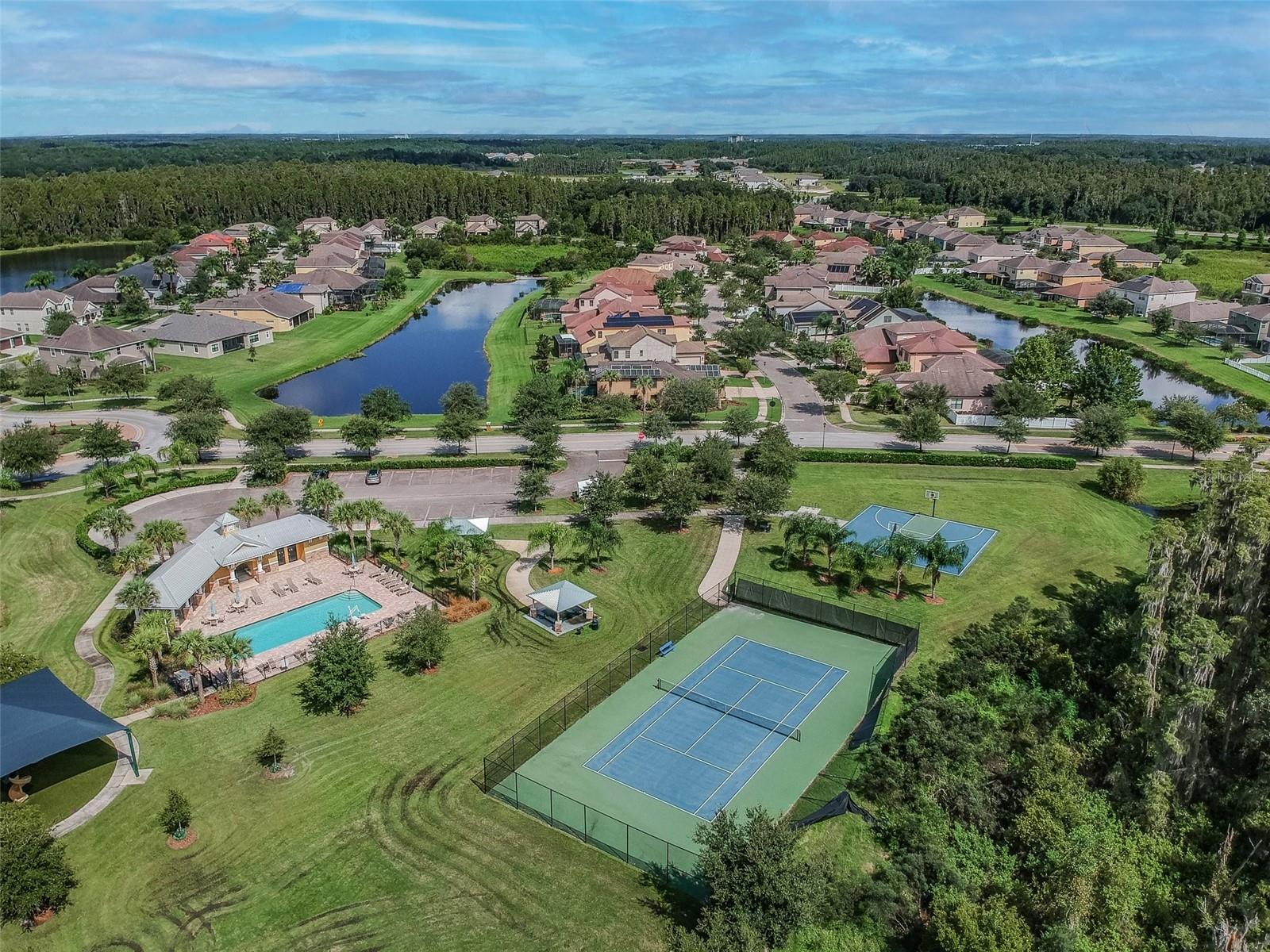 19370 HAWK VALLEY DR, TAMPA, FL, 33647