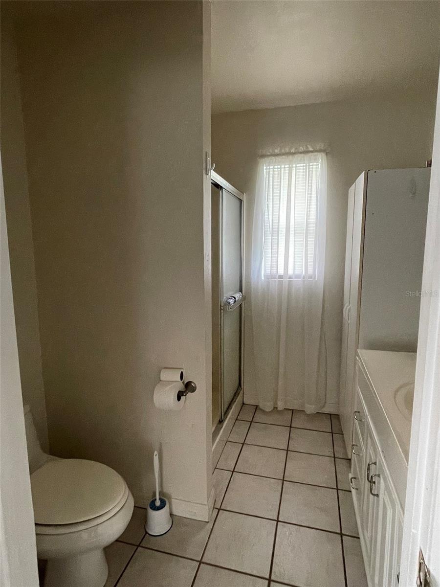 17243 PALAMINO LAKE DR, DADE CITY, FL, 33523