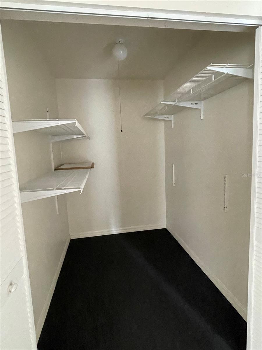 17243 PALAMINO LAKE DR, DADE CITY, FL, 33523