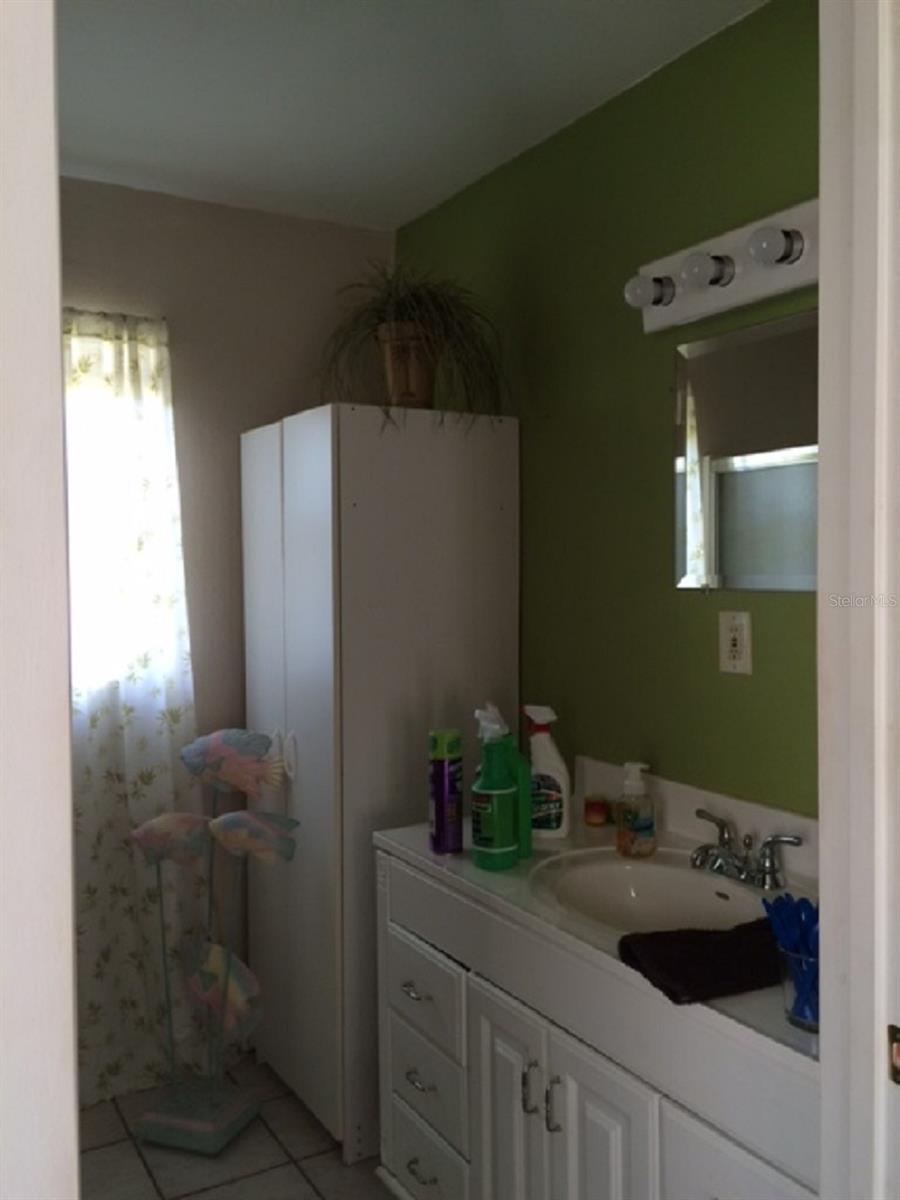 17243 PALAMINO LAKE DR, DADE CITY, FL, 33523