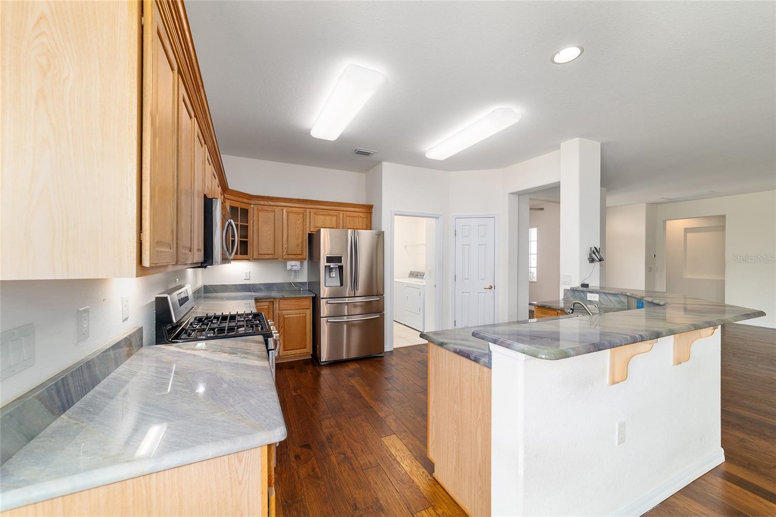 12485 SE 90TH TER, SUMMERFIELD, FL, 34491