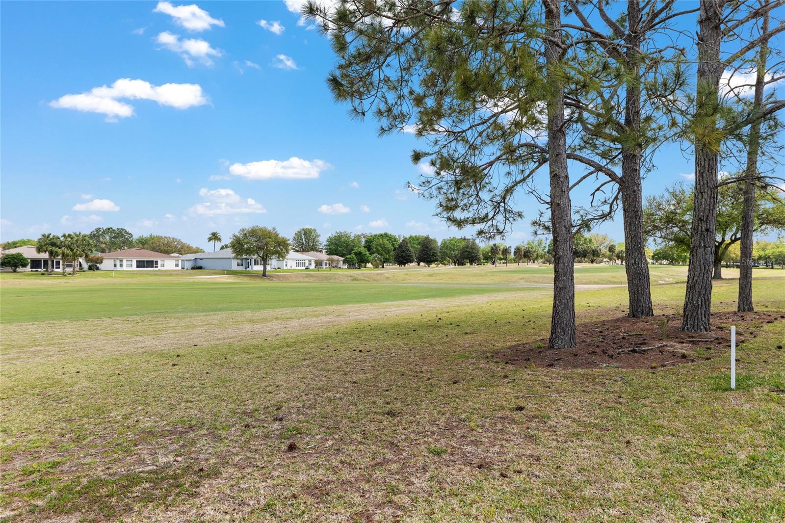 15757 SW 16TH AVENUE RD, OCALA, FL, 34473