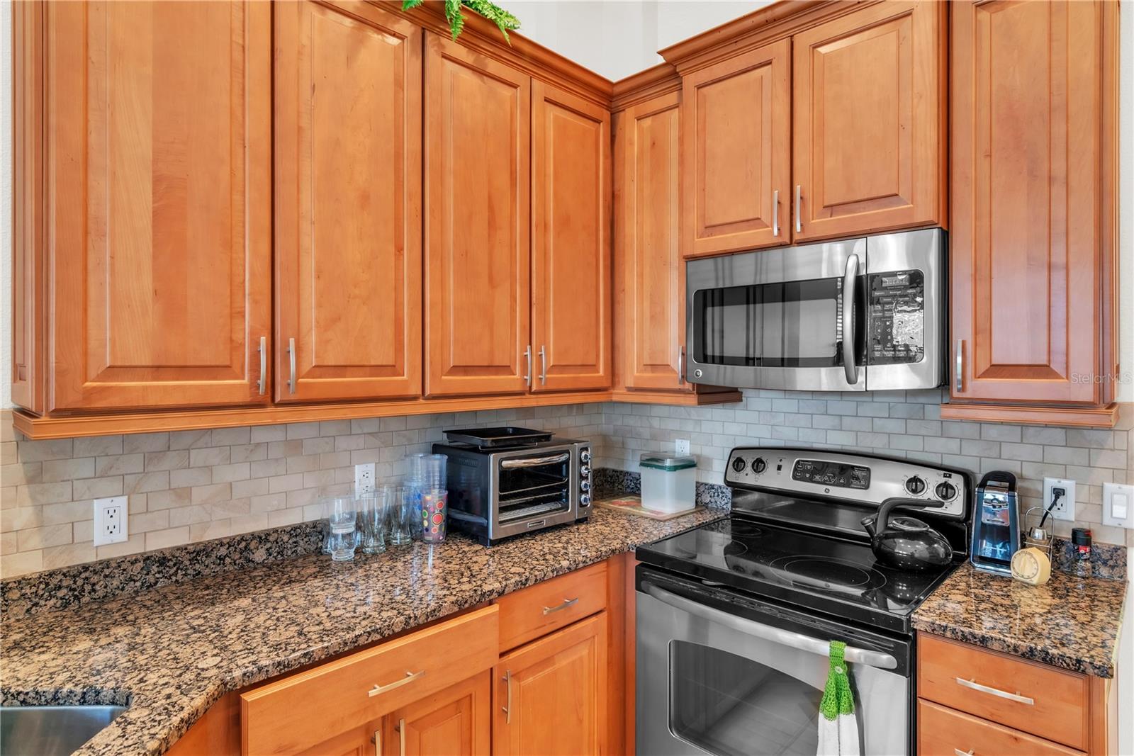 19106 ABERCORN PL, LUTZ, FL, 33558