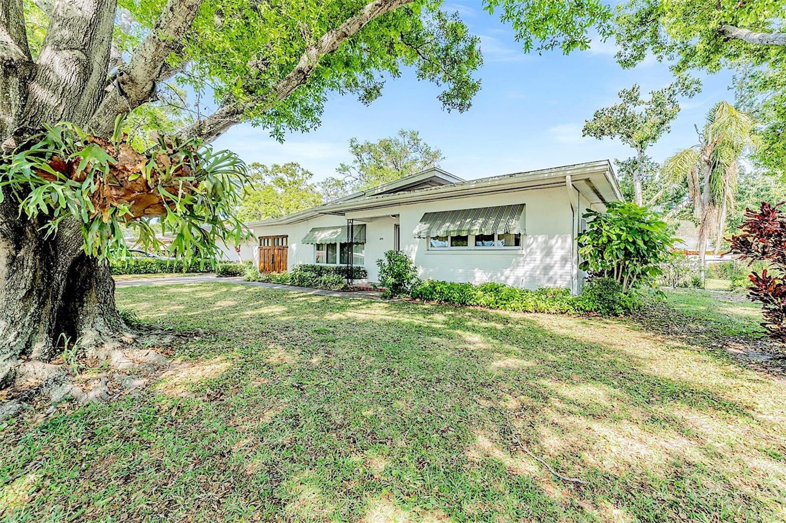 559 OAKWOOD DR, LARGO, FL, 33771