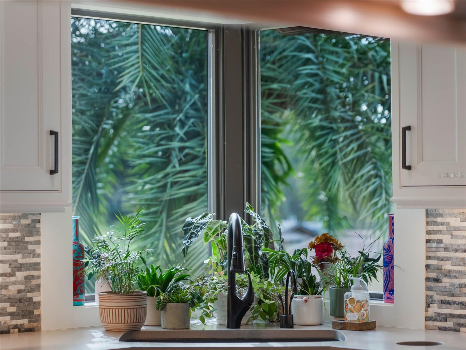 1945 OVERLOOK DR, MOUNT DORA, FL, 32757