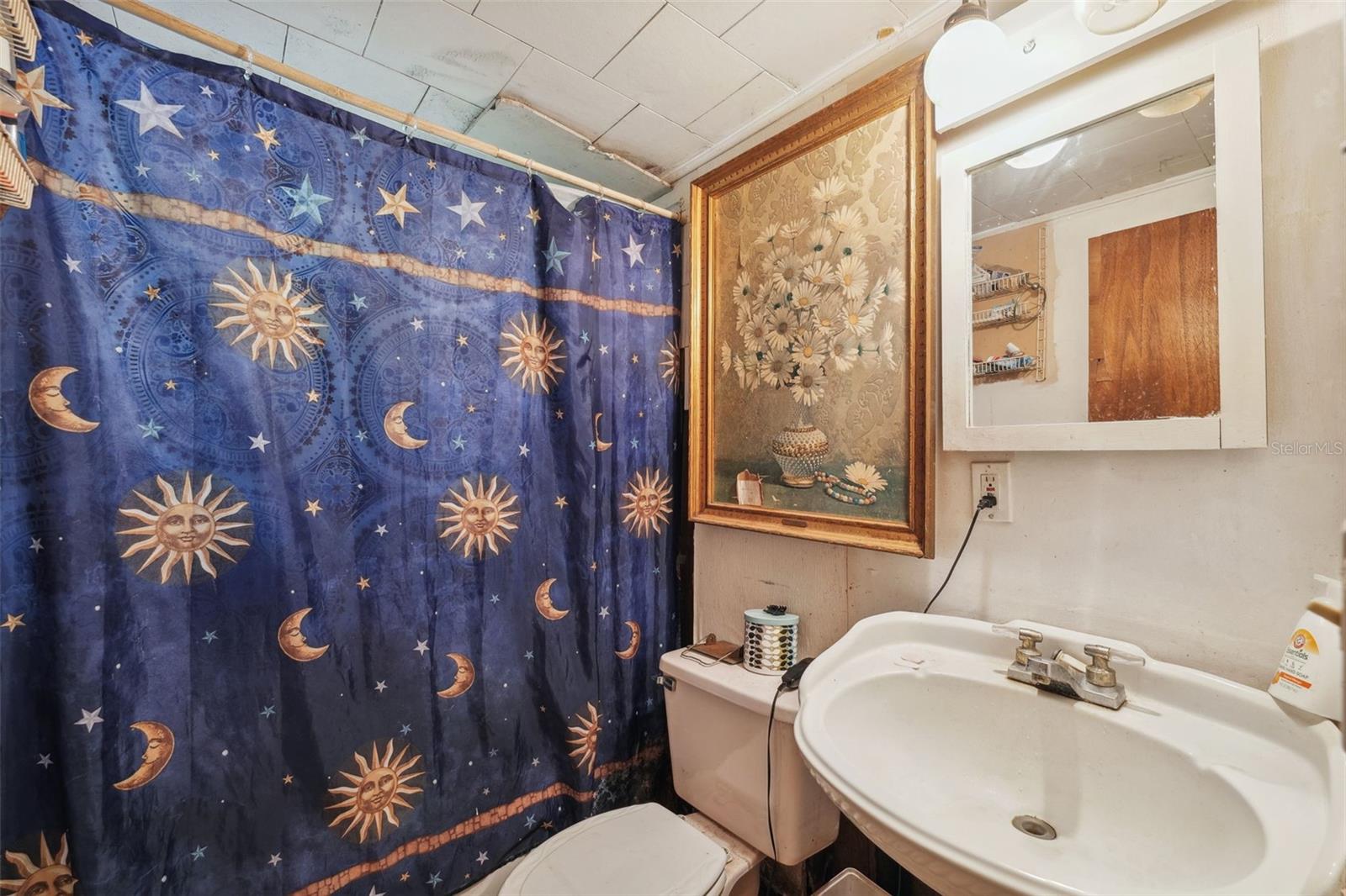 18411 SHADY SIDE DR, BROOKSVILLE, FL, 34601