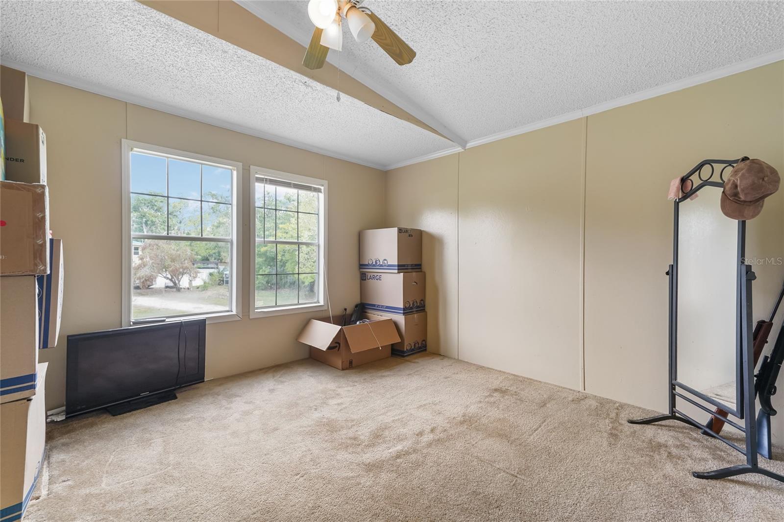 4433 ROSE ST, VALRICO, FL, 33596