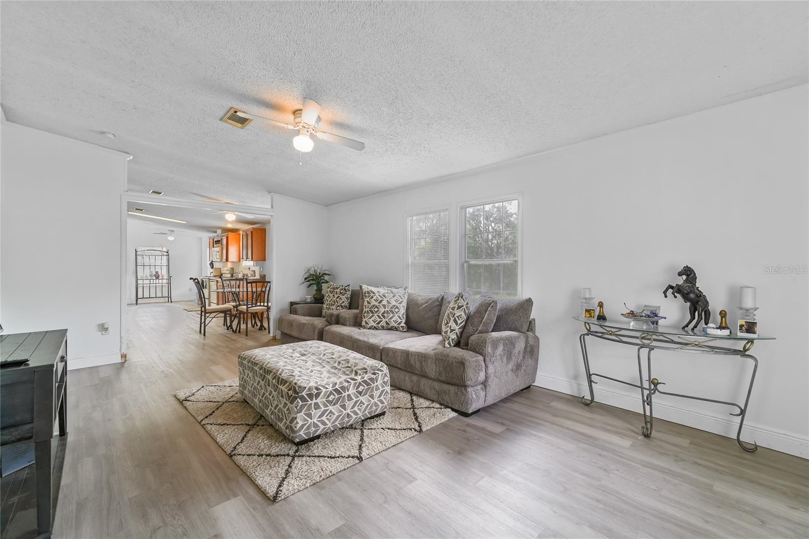 4433 ROSE ST, VALRICO, FL, 33596
