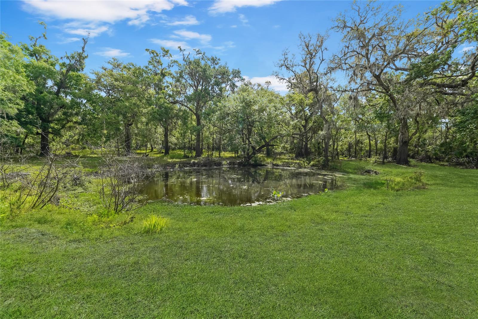 4433 ROSE ST, VALRICO, FL, 33596