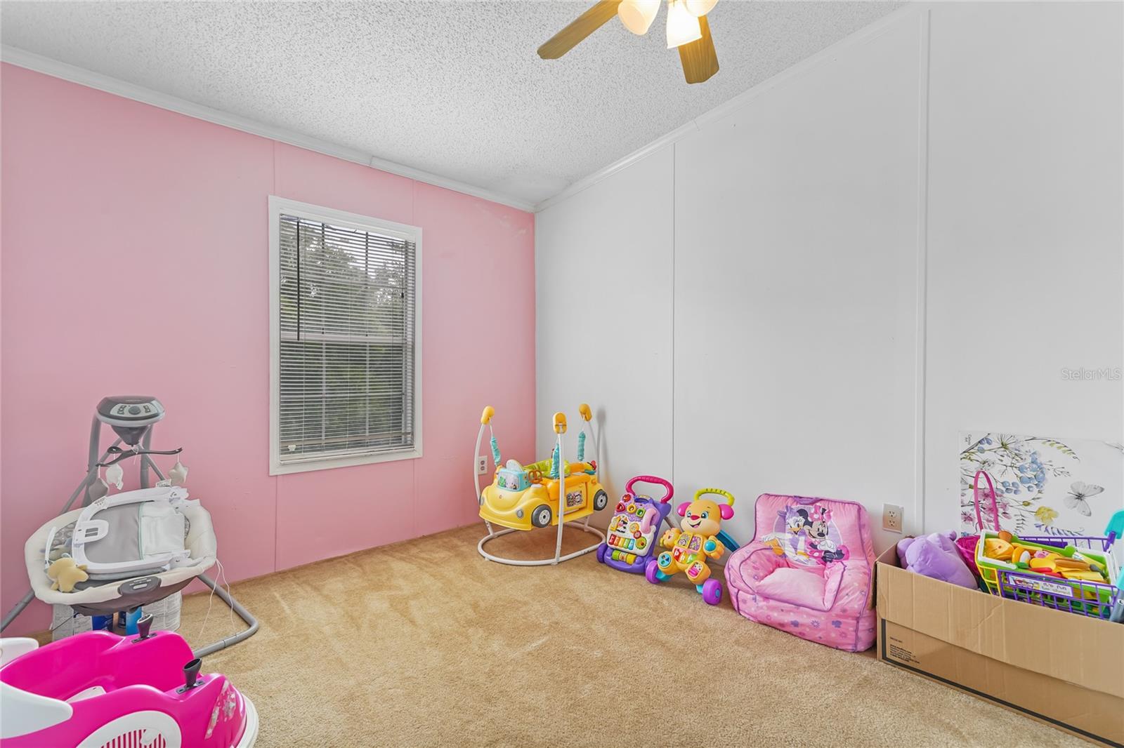 4433 ROSE ST, VALRICO, FL, 33596